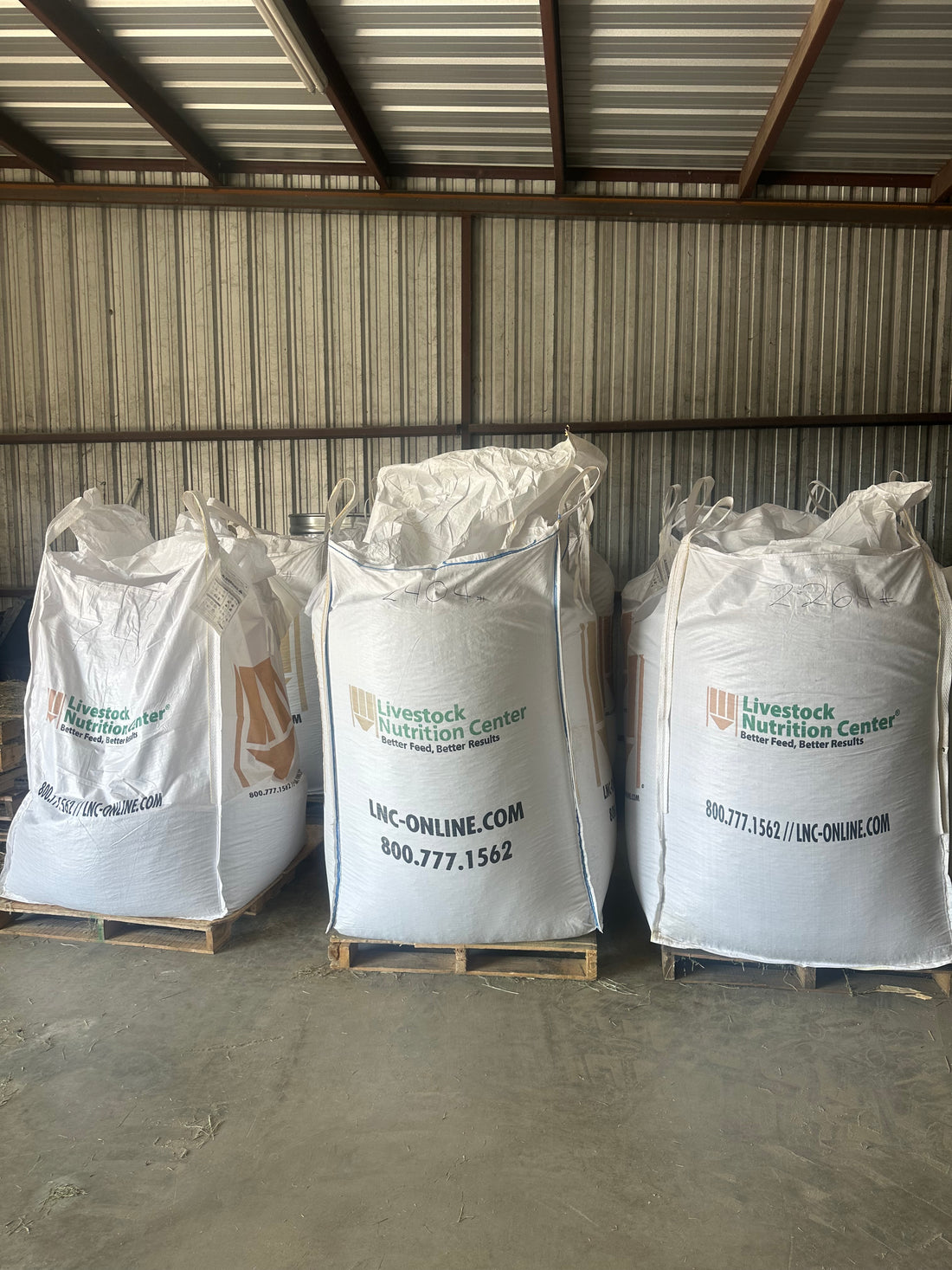 Bulk Maxigain Now Available