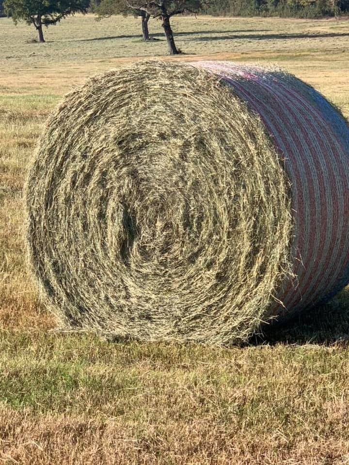 Round Bale Coastal
