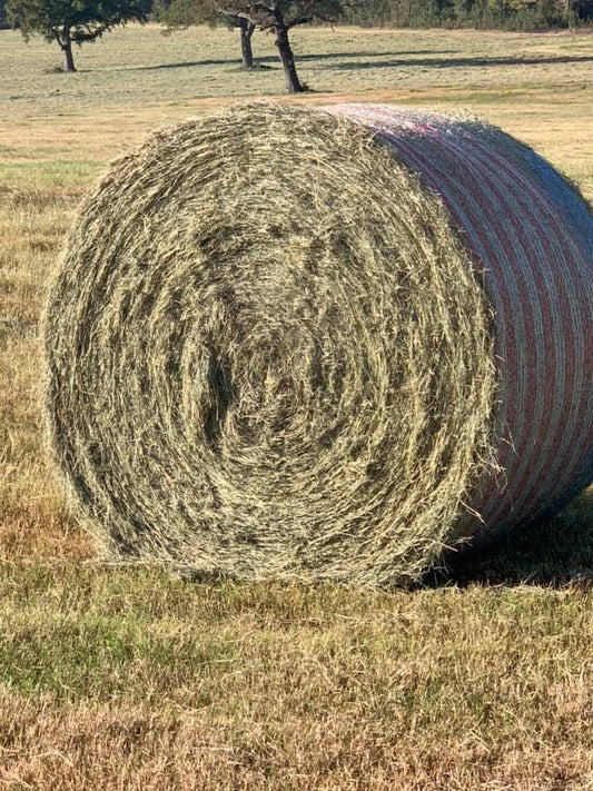 Round Bale Coastal hay