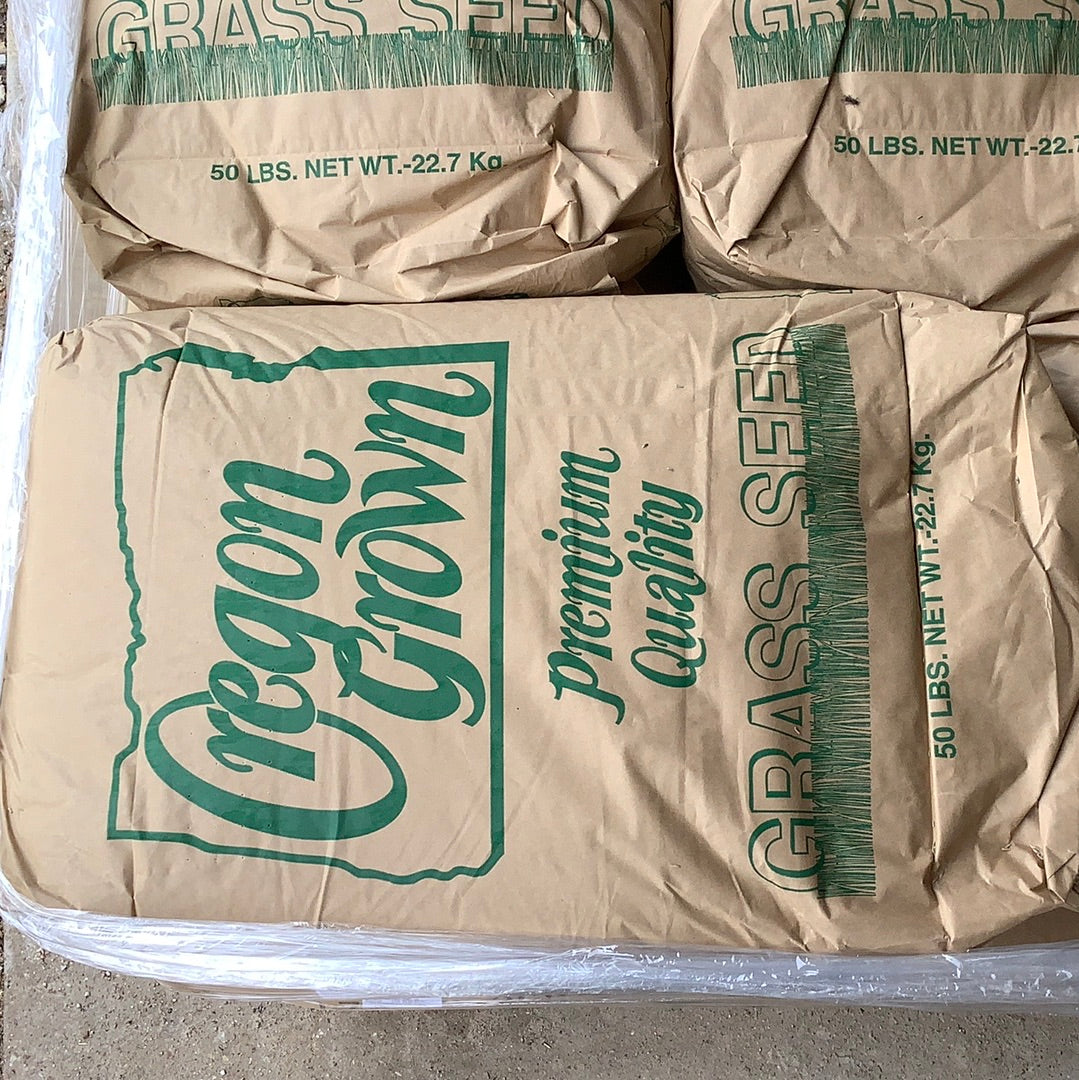 Gulf Annual Rye Grass Seed