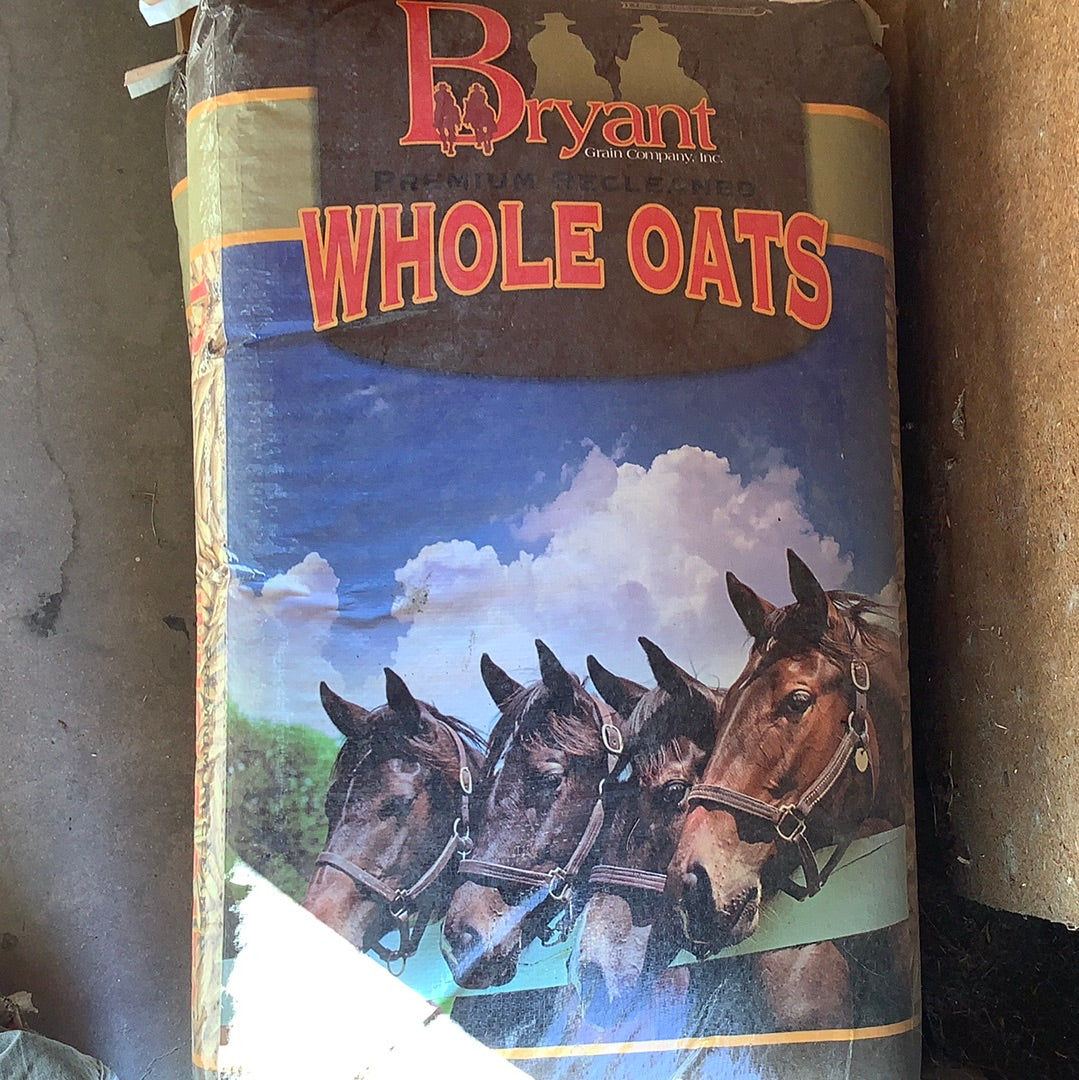 Whole Oats