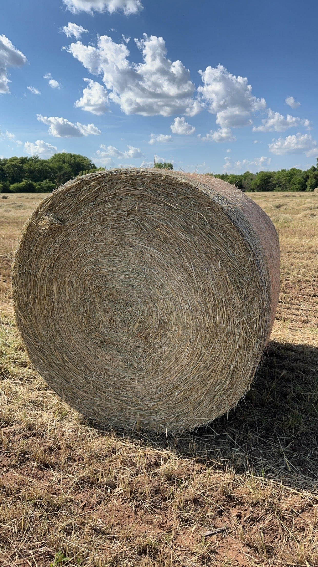 Round Bale Mixed