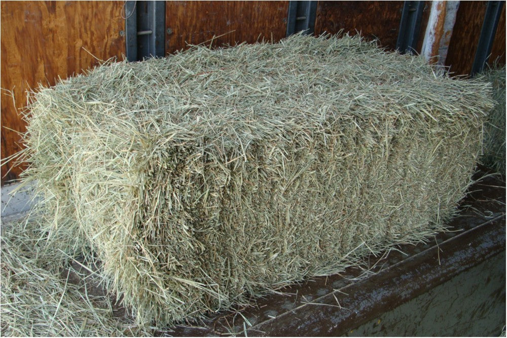 Hay Square Coastal