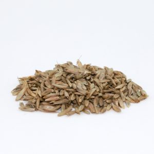 MBS Seed Heavyweight