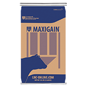 LNC MaxiGain