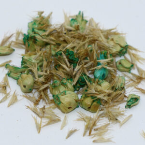 Native Lawn Grass Mix
