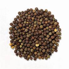 Austrian Winter Peas 50lbs