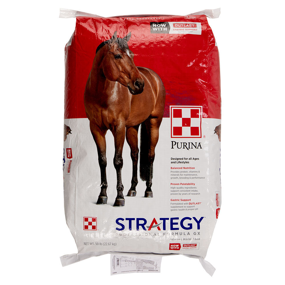 Purina Strategy