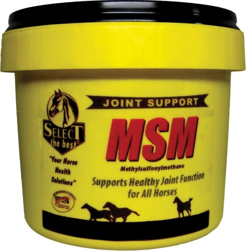 MSM Powder