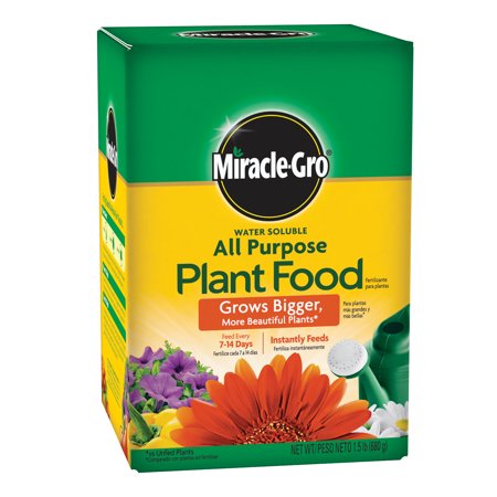 Miracle Grow All Puropse Plant