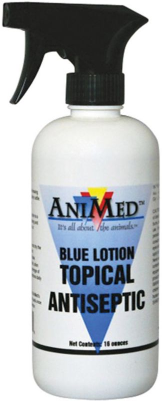 Blue Lotion Spray
