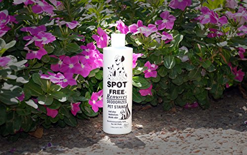 Spot Free