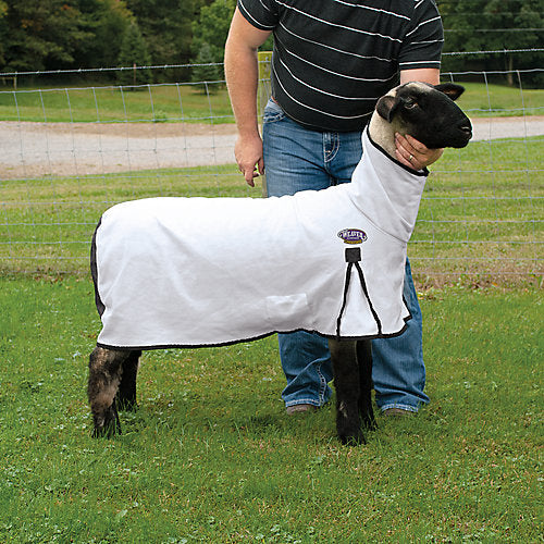Procool Sheep Blanket-Med