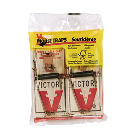 Mouse Trap