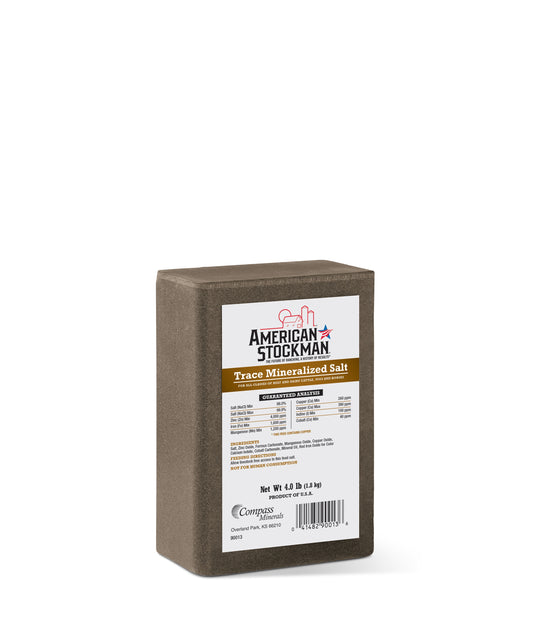 Trace Mineral Salt Brick 4 lb.