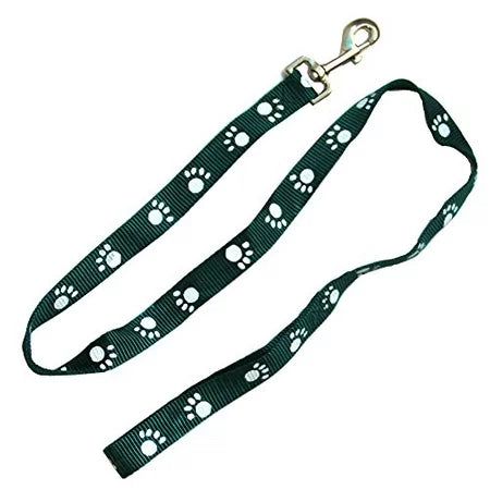 Leash Dog 6 ft