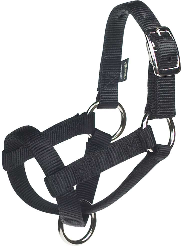 Sheep/Goat Walking Halter Large