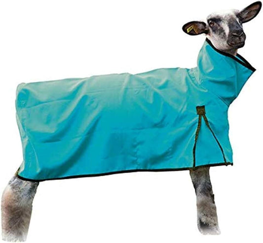 Sheep Blanket Tough Tech