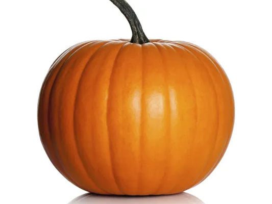 Pumpkin Large Jack