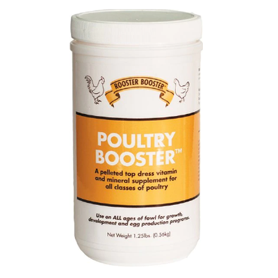 Rooster Poultry Booster