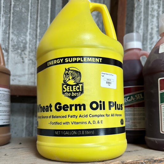 Wheat Germ Oil 1 gal