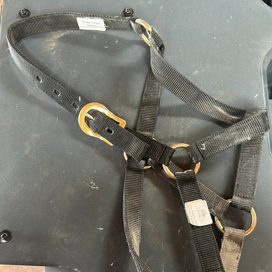 Halter Economy Yearling