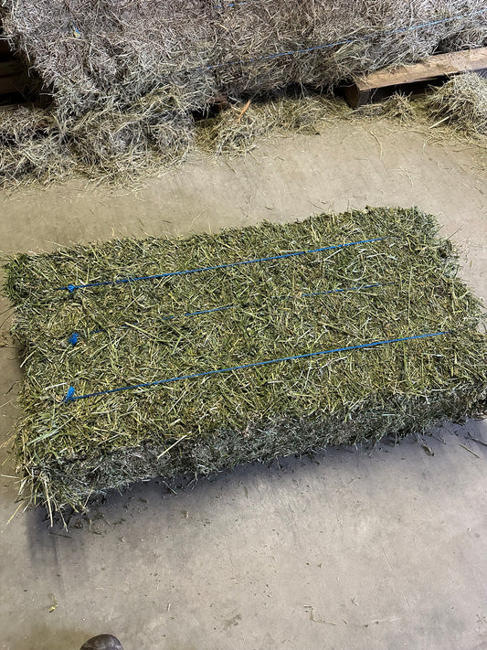 3-String Alfalfa