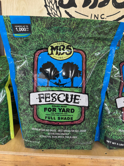 MBS TURF TYPE TALL FESCUE