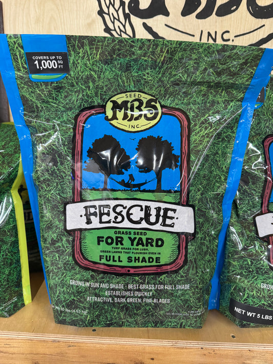 MBS TURF TYPE TALL FESCUE
