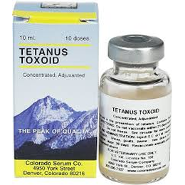 Tetanus Toxiod