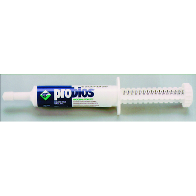 Probios Equine One