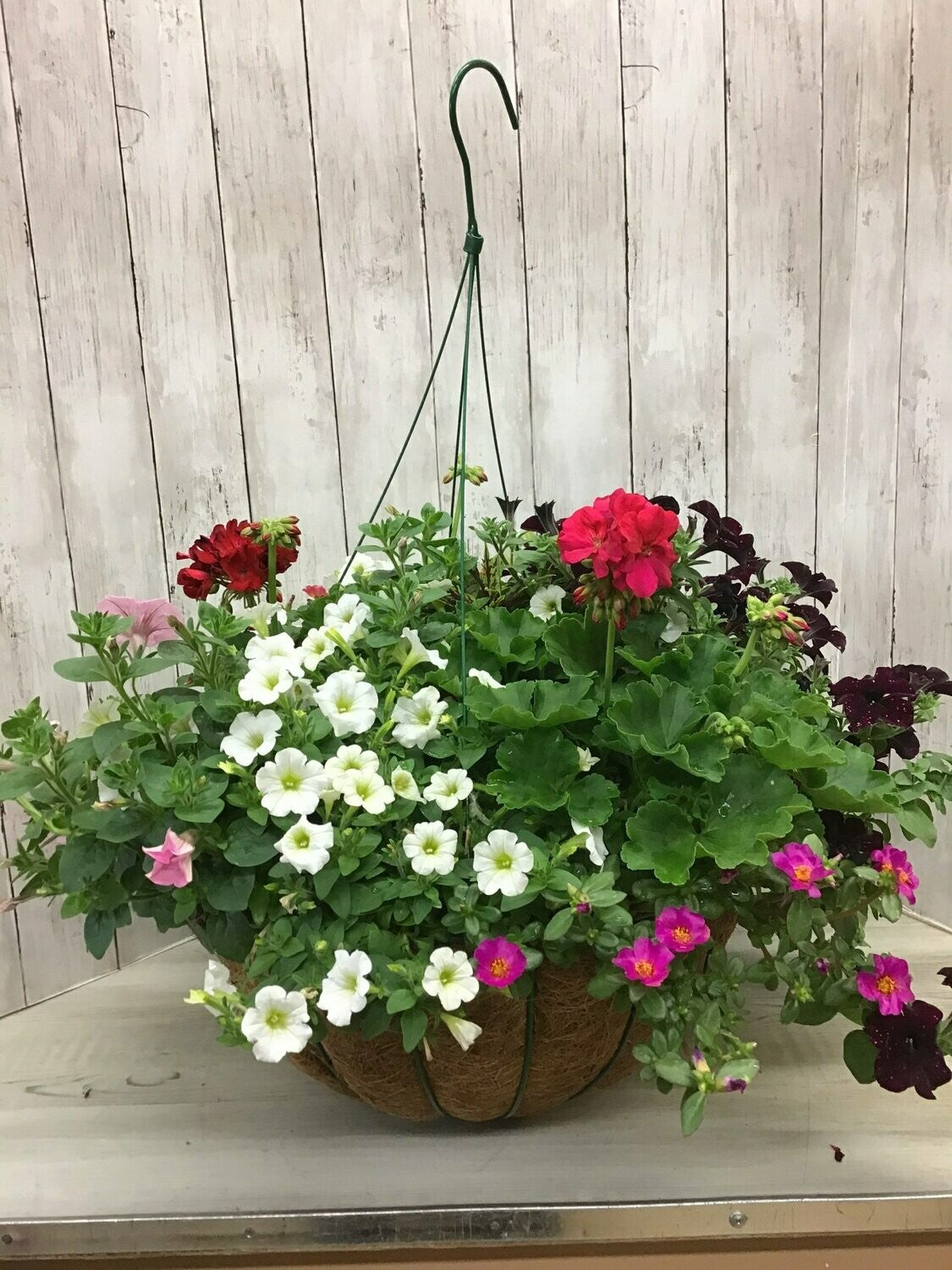 Hanging Flower Basket