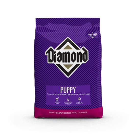 Diamond Puppy 31/21
