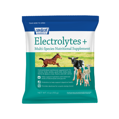 Sav A Calf Electrolytes