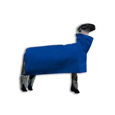 Sheep Blanket lg