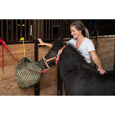 Texas Haynet XS