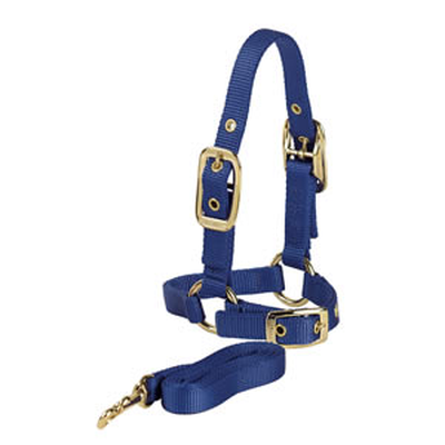 Sheep Halter w/lead