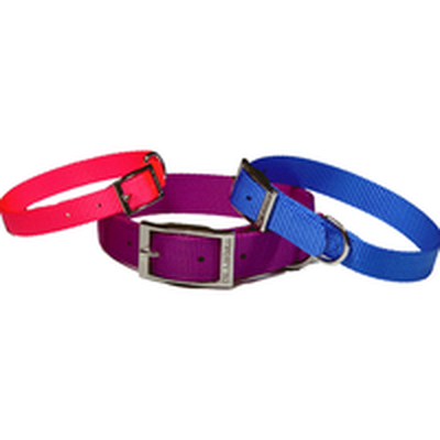 Collar Dog 18"