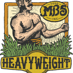 MBS Seed Heavyweight