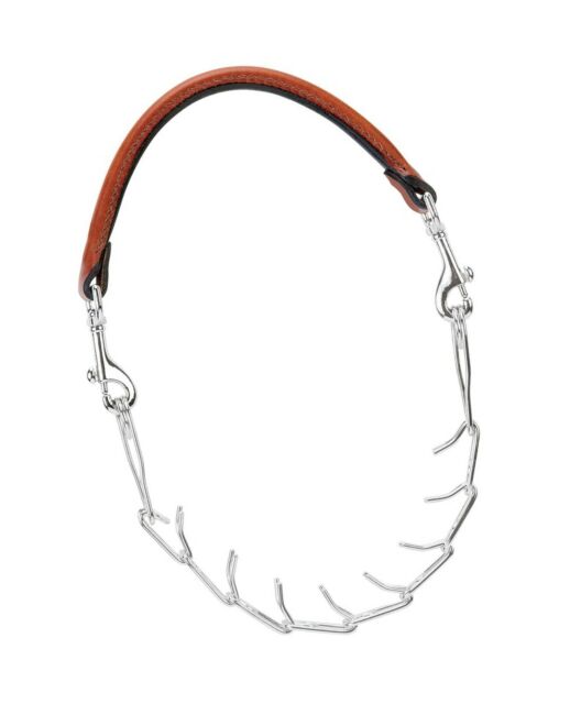 Brahma Goat Prong Collar 24"