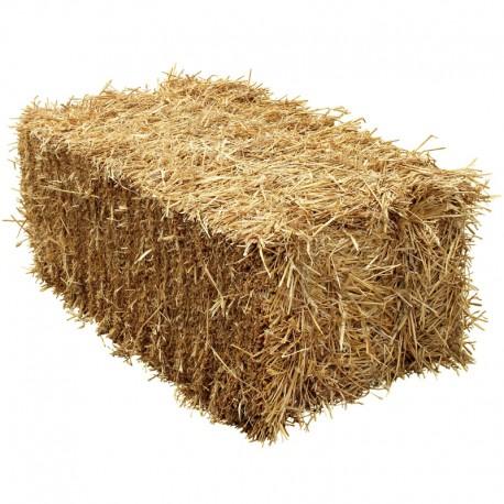 Straw Hay Square