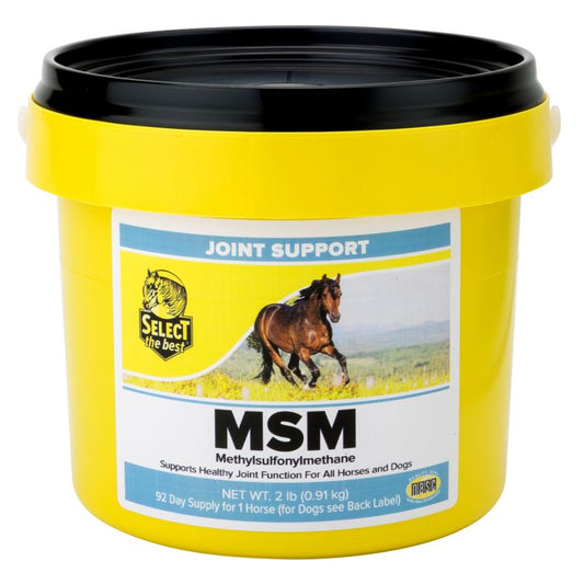 MSM Powder 2#