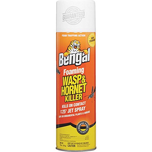 Bengal Wasp & Hornet Spray Foam