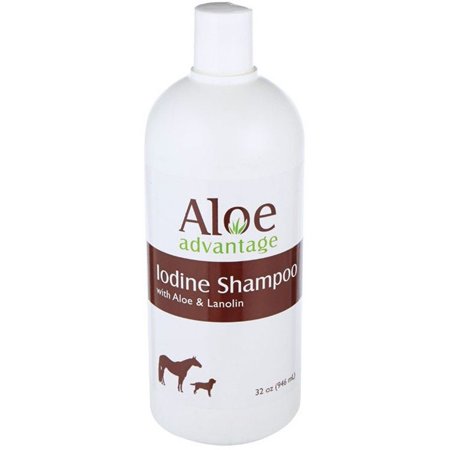 Aloe Iodine Shampoo