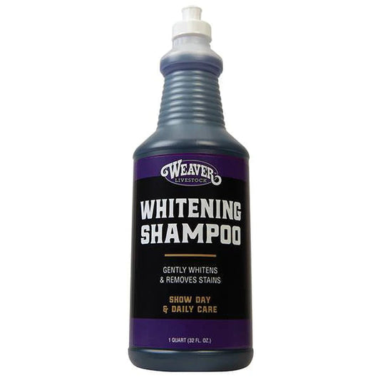 Whitening Shampoo qt.