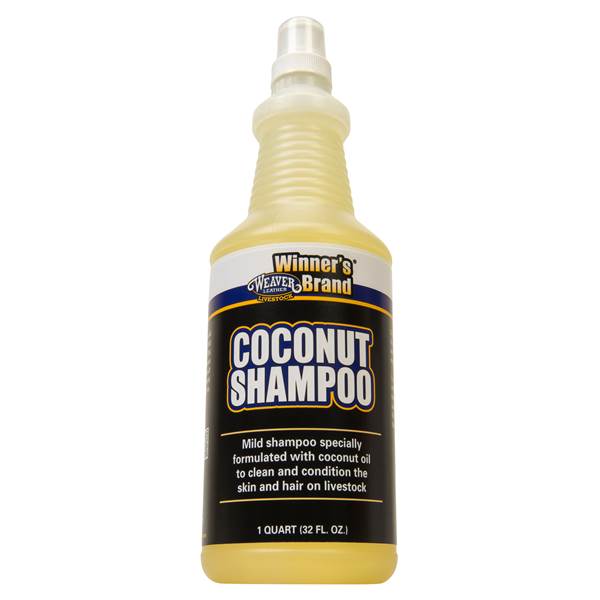 Coconut Shampoo