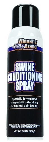 Conditioning Spray Swine