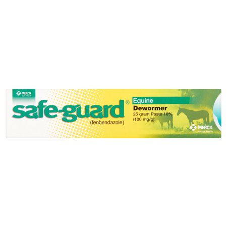 Safeguard Paste Horse