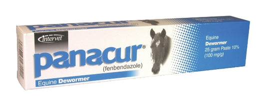 Panacur Equine  Dewormer