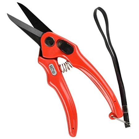 Supersharp Foot Rot Shears